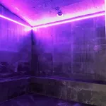 Mildiss & Restaurant, Bw Signature Collection Hotel Besse-et-Saint-Anastaise