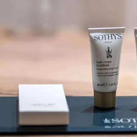 Hotell Mildiss & Restaurant, Bw Signature Collection Besse-et-Saint-Anastaise