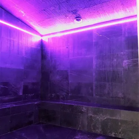 Mildiss & Restaurant, Bw Signature Collection Hotel Besse-et-Saint-Anastaise